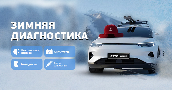 Зимняя диагностика 500р.